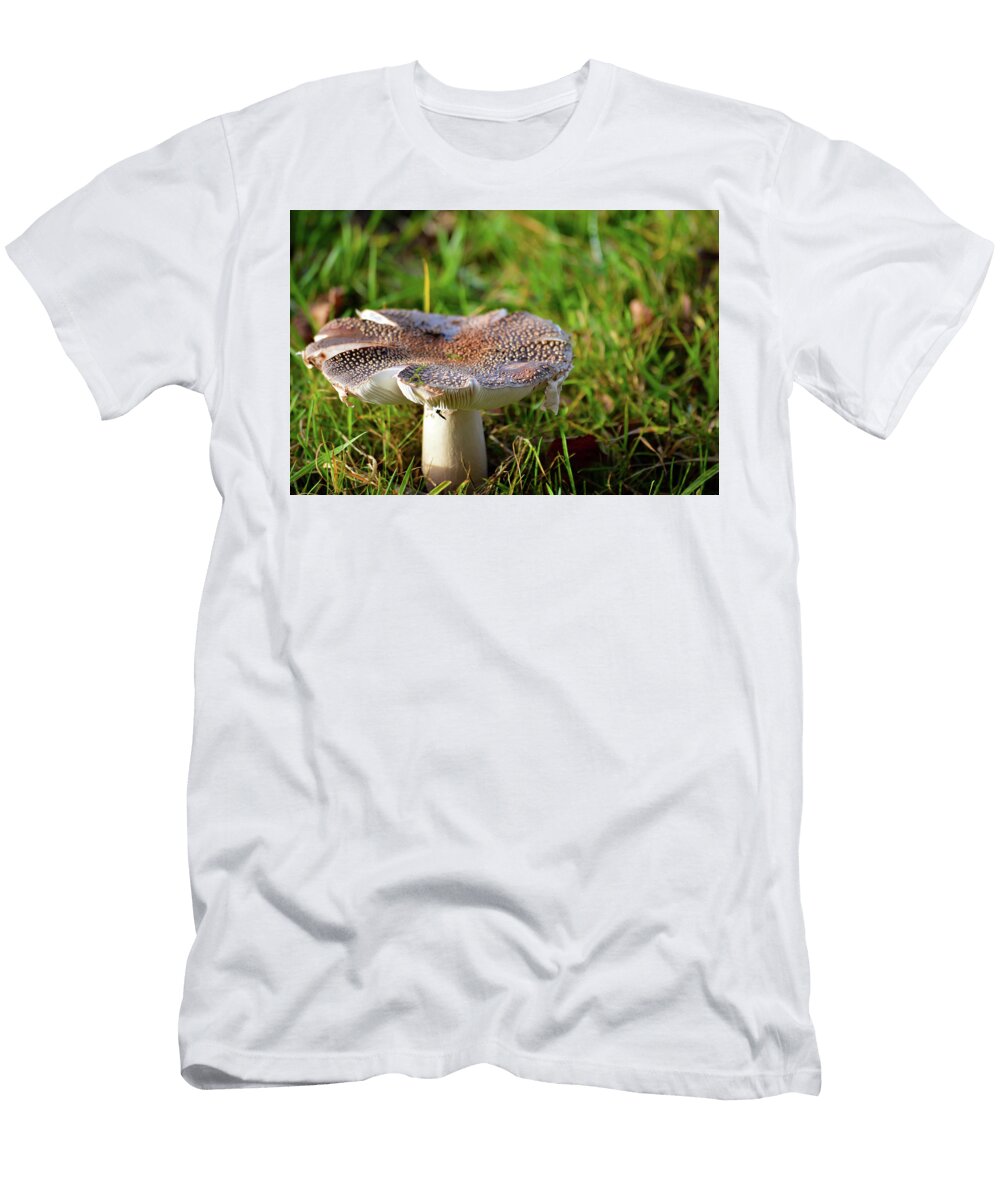 Full Size Mushroom Growing in Clump of Grass Johan Ferret T-Shirt