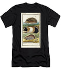 Georges Buffon Quadrupeds Hedgehog Guinea Pig and Water Rat Ar3 Historic Illustrations T-Shirt