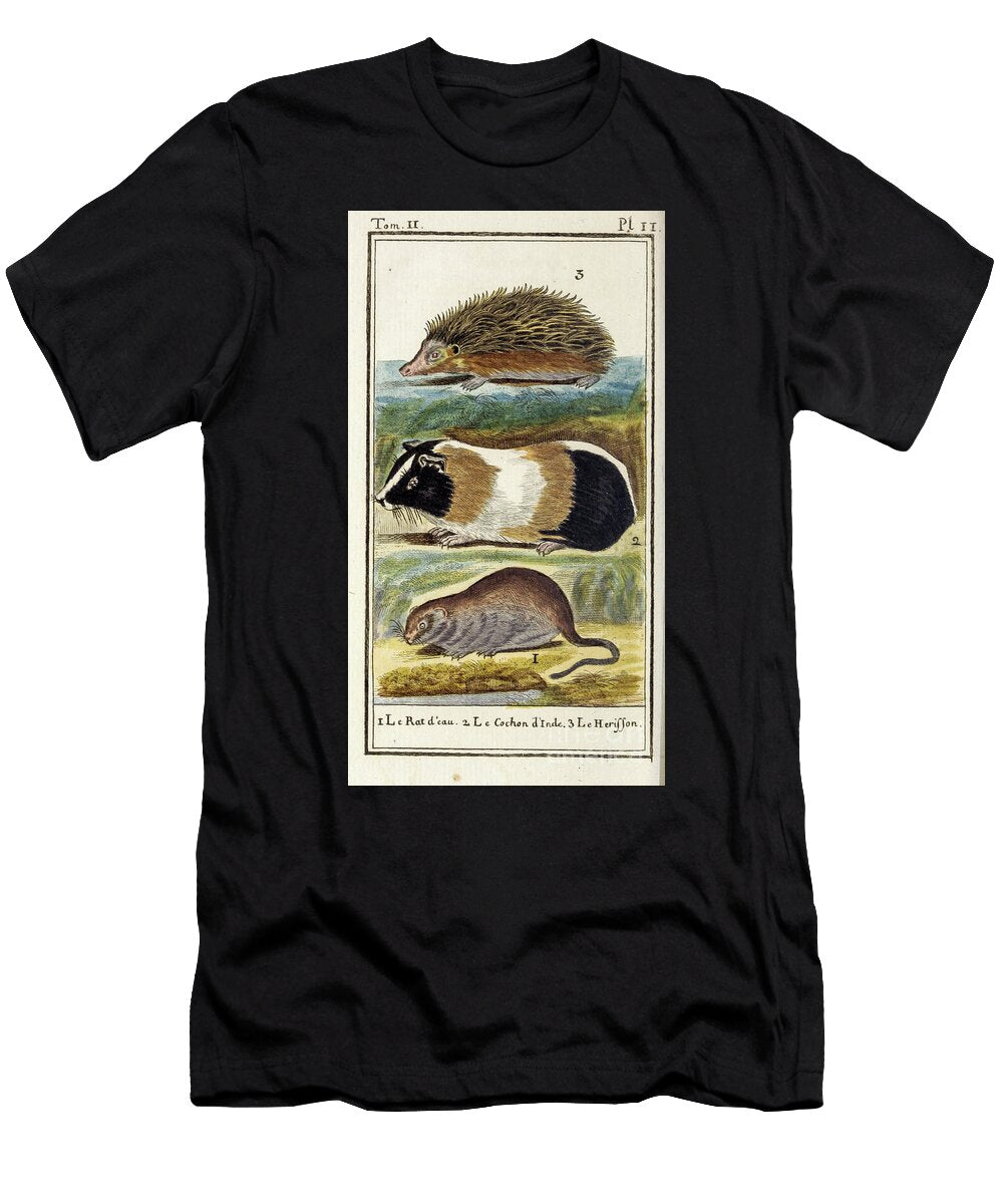 Georges Buffon Quadrupeds Hedgehog Guinea Pig and Water Rat Ar3 Historic Illustrations T-Shirt