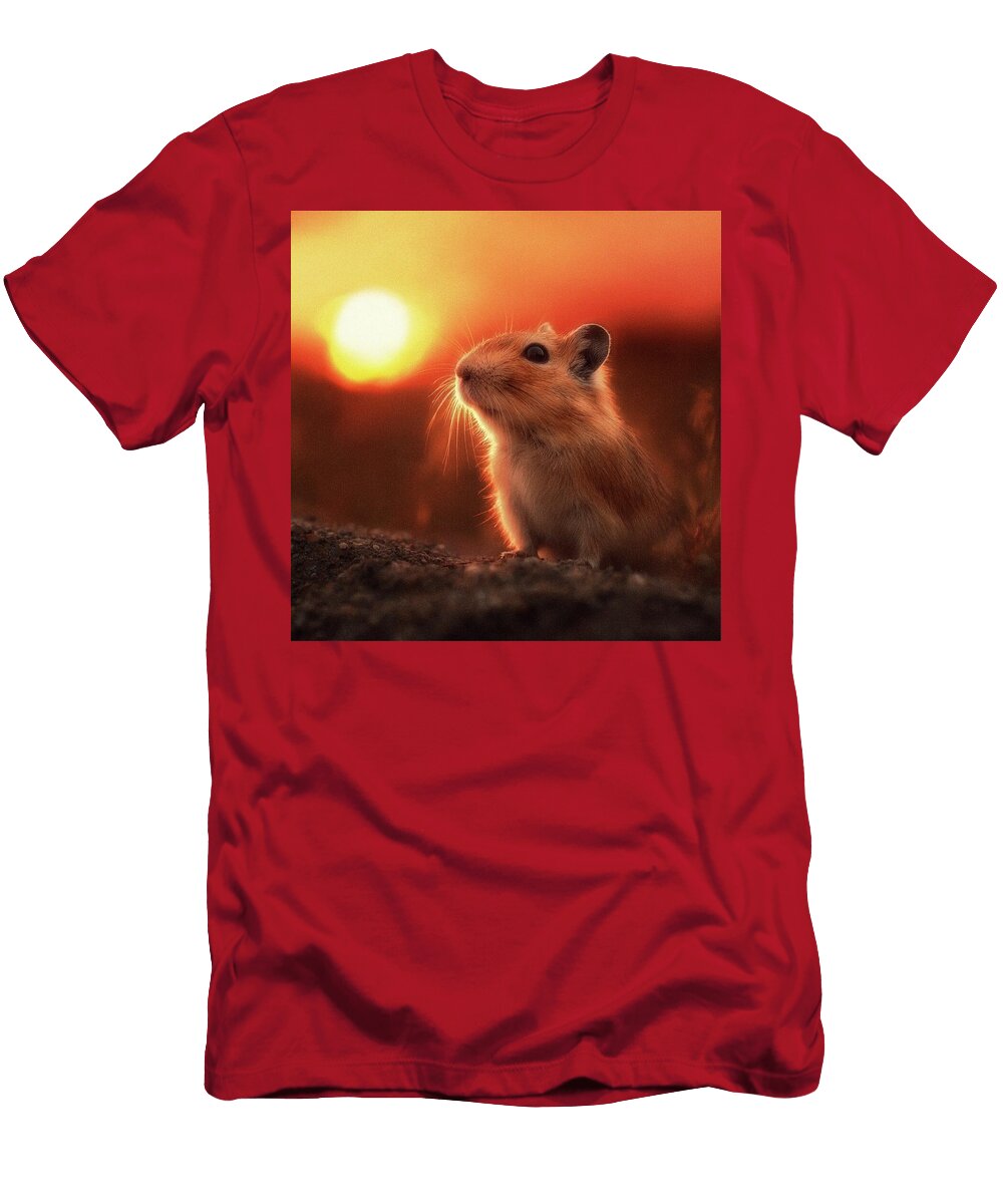 Gerbil At Sunset Esoterica Art Agency T-Shirt