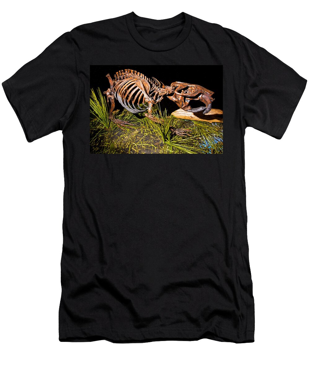 Giant Beaver Fossil Millard H Sharp T-Shirt