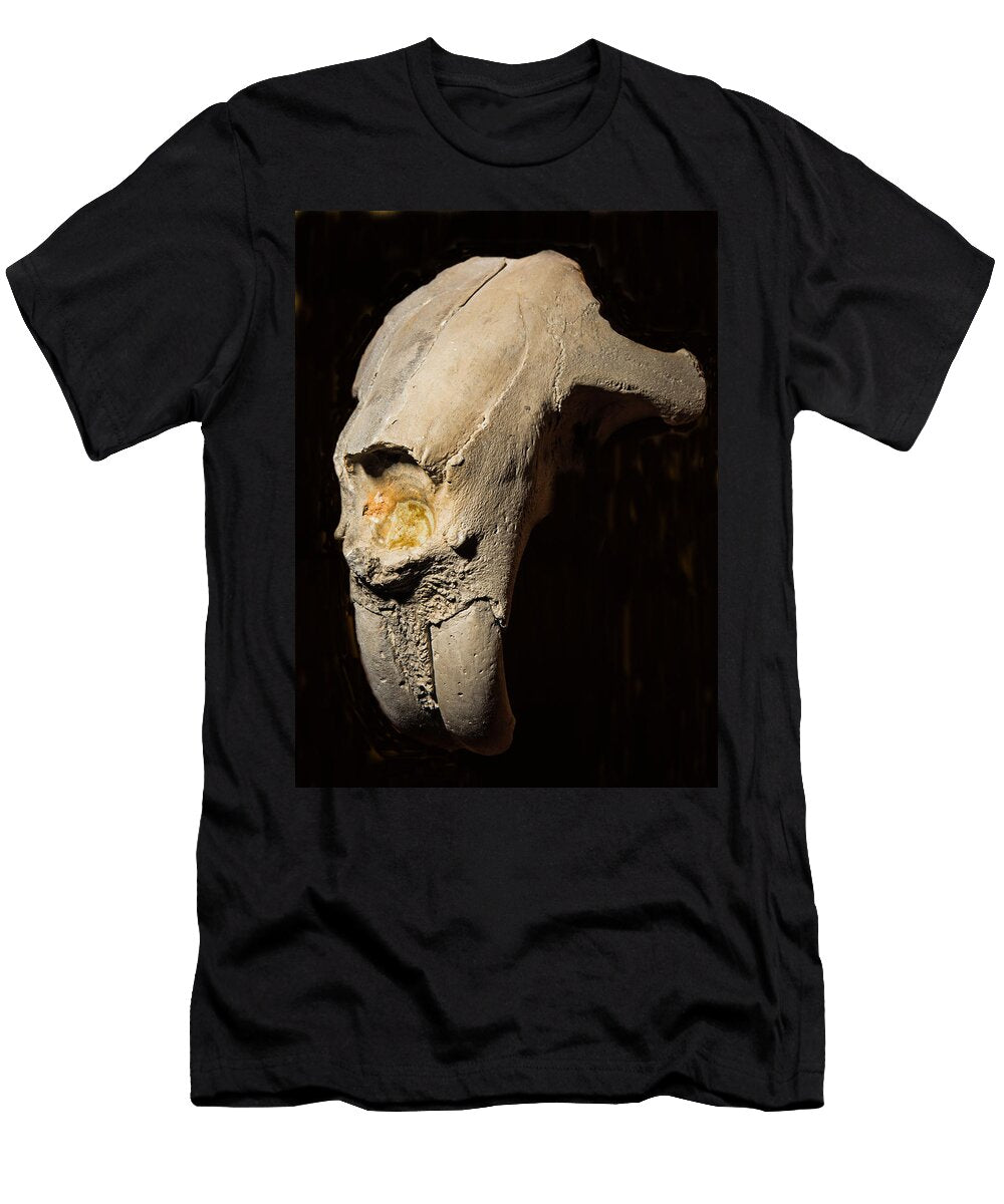 Giant Beaver Teeth Fossil Millard H Sharp T-Shirt