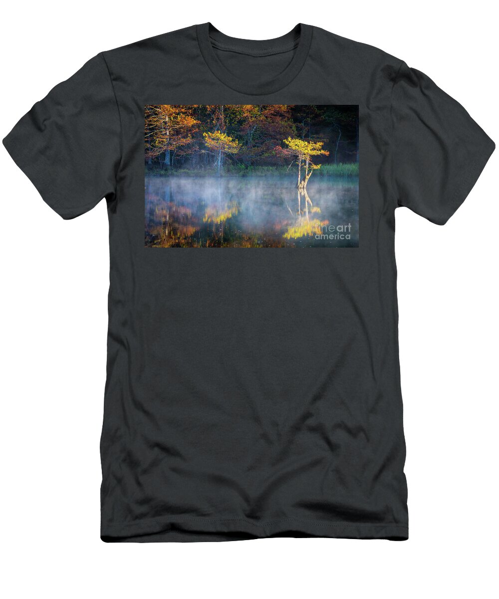 Glowing Cypresses Inge Johnsson T-Shirt