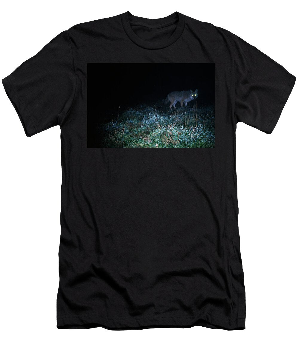 Glowing Eyes of Eastern Coyote Hunting Animal Images T-Shirt