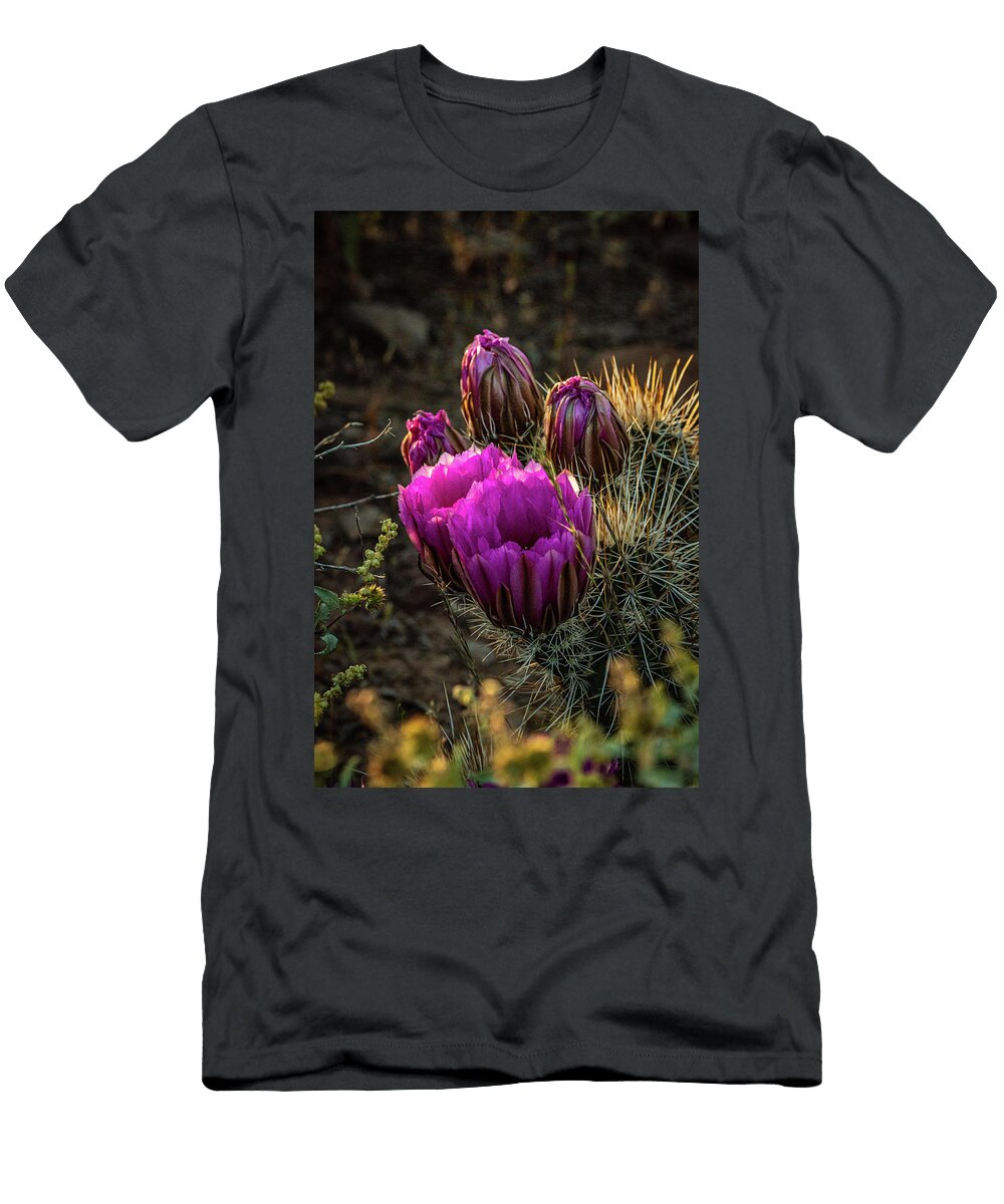Glowing Hedgehog Cactus Linda Unger T-Shirt