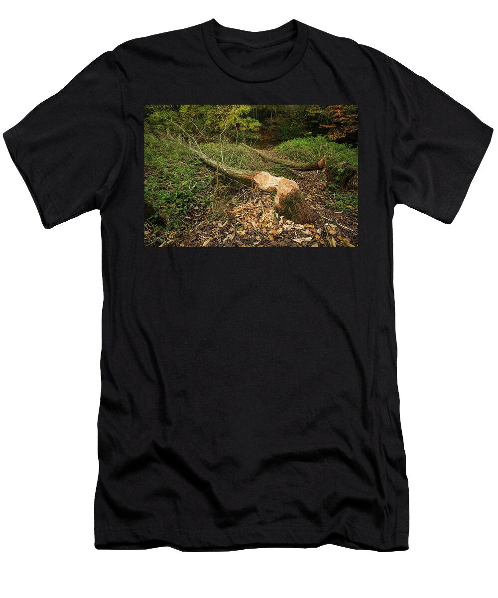 Goat Willow Felled By a Eurasian Beaver the Riverside Matthew Maran Natureplcom T-Shirt