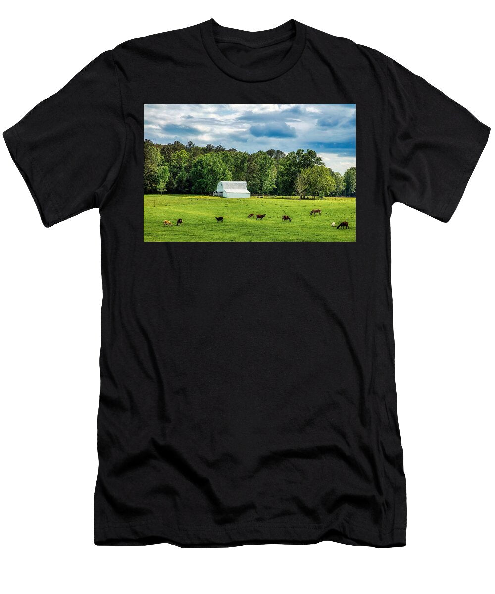Goats and a Donkey Mountain Dreams T-Shirt