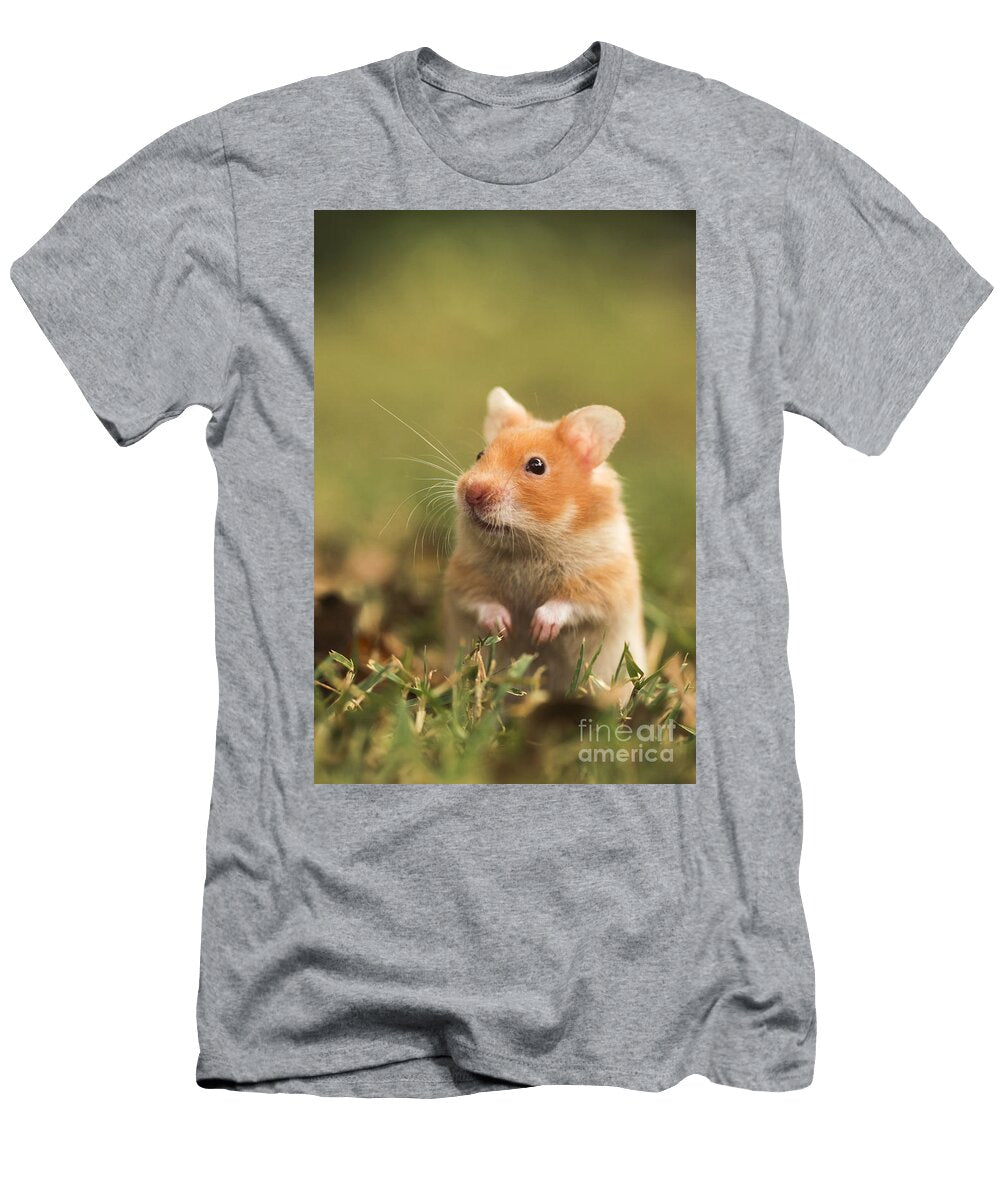 Golden Hamster Alon Meir T-Shirt