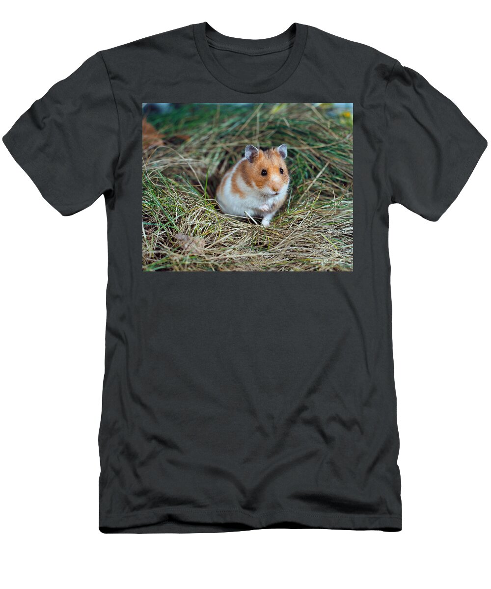 Golden Hamster Werner Layer T-Shirt