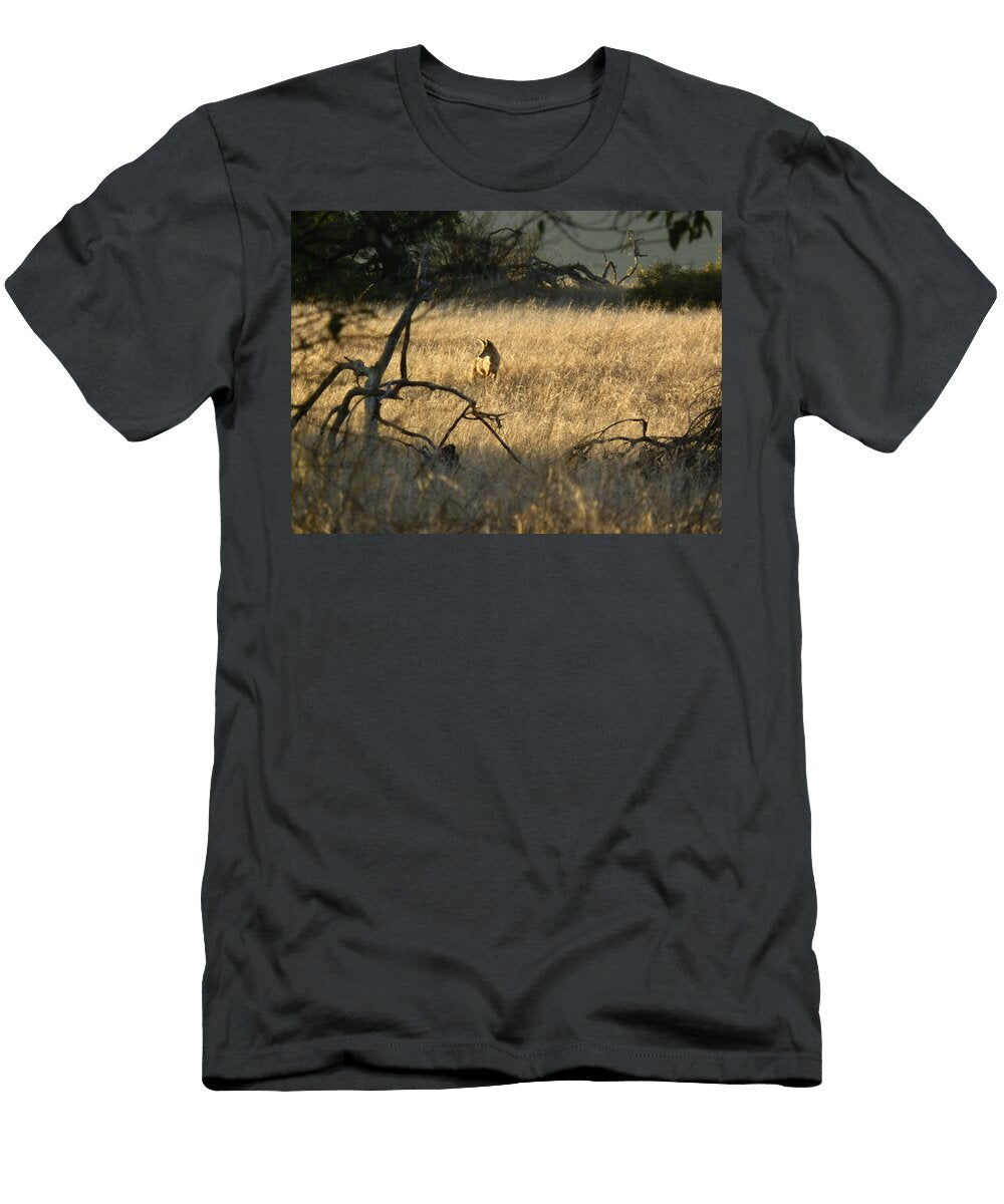 Golden Light Robert Ball T-Shirt