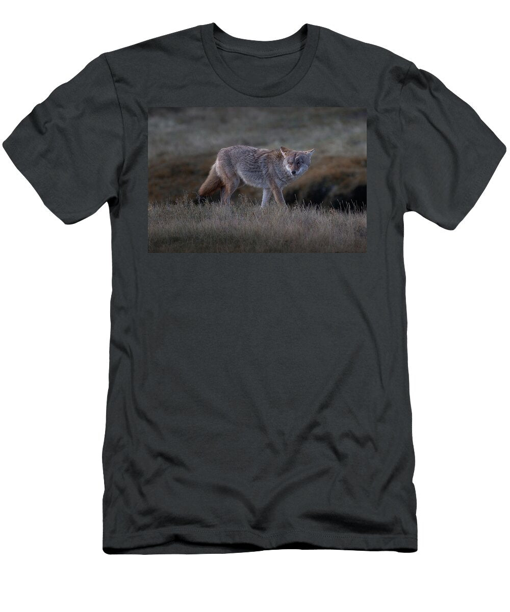 Got My Eye on You Barbra Pechous T-Shirt