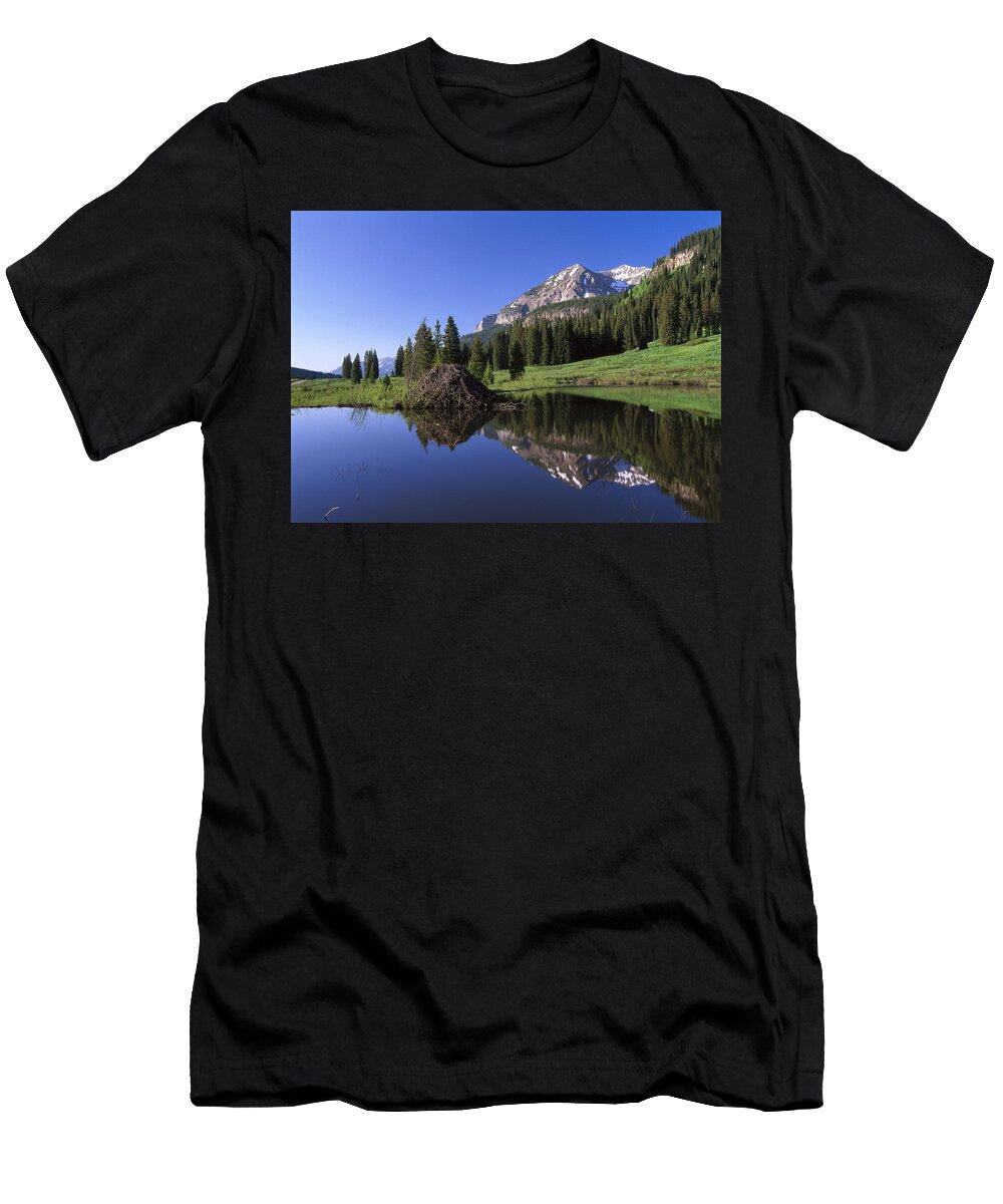 Gothic Mountain and Beaver Lodge Tim Fitzharris T-Shirt