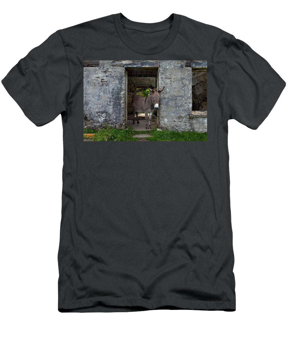 Great Blasket Island the Blasket Panoramic Images T-Shirt