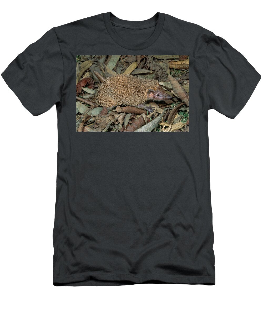Greater Hedgehog Tenrec on Forest Floor At Night Kirindy Nick Garbutt Natureplcom T-Shirt