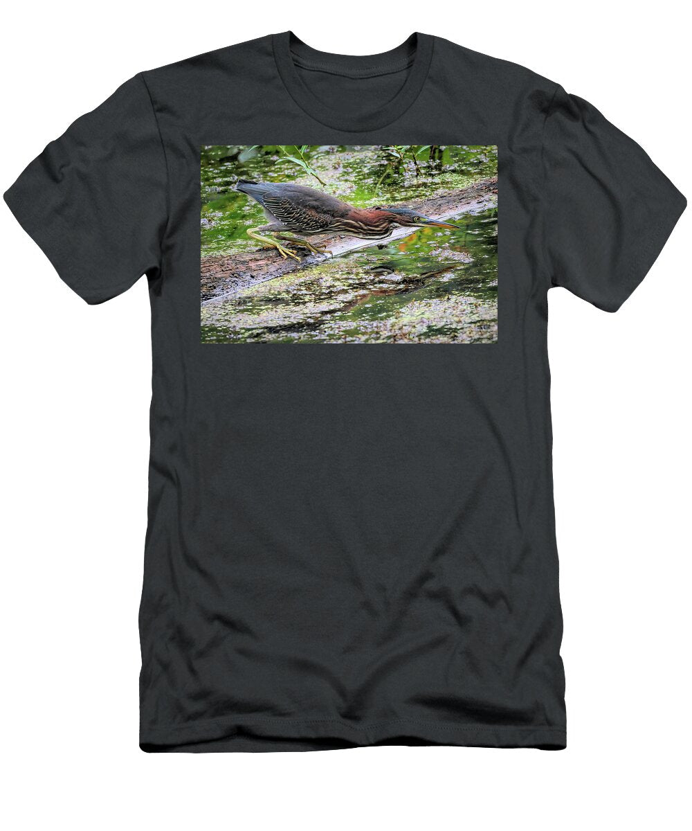 Green Heron Stalking Prey Dennis Lundell T-Shirt