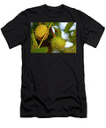 Green Spiky Hedgehogs of Chestnut Fruit on the Tree Y3 Ilan Rosen T-Shirt