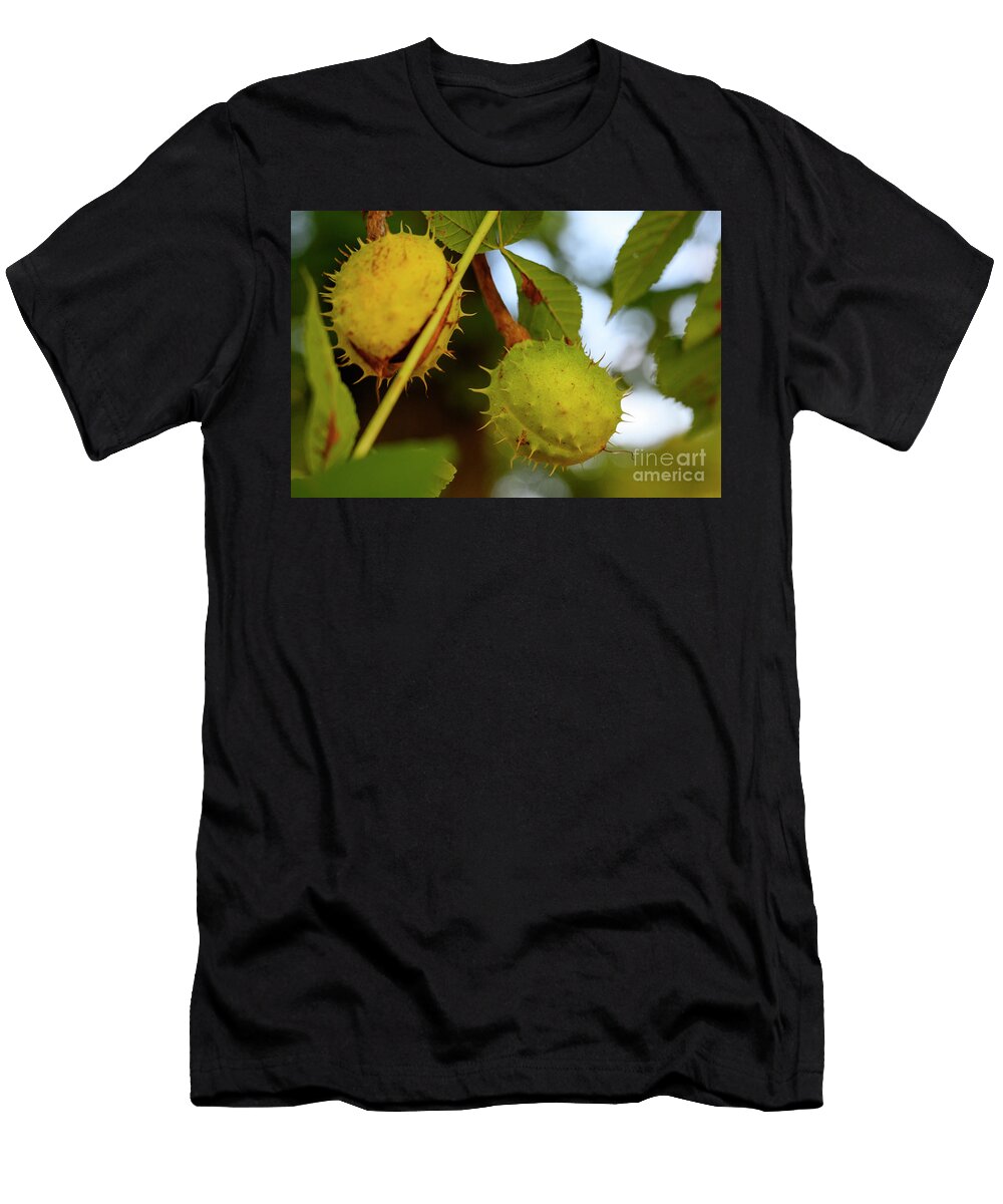 Green Spiky Hedgehogs of Chestnut Fruit on the Tree Y3 Ilan Rosen T-Shirt