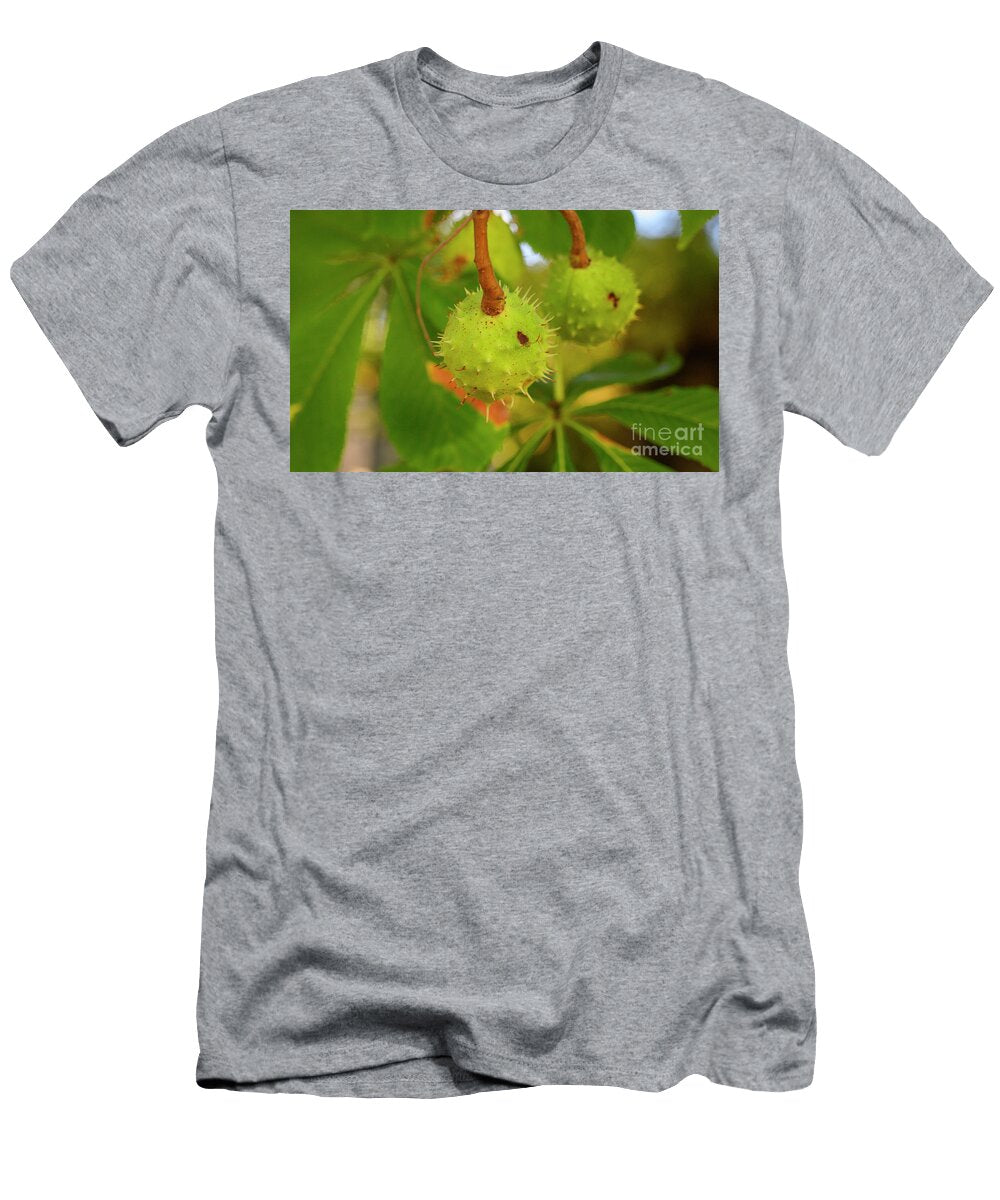 Green Spiky Hedgehogs of Chestnut Fruit on the Tree Y4 Ilan Rosen T-Shirt