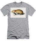 Hamster Cricetus Illustrated By Charles Dessalines D Orbigny 1806 1876 Celestial Images T-Shirt