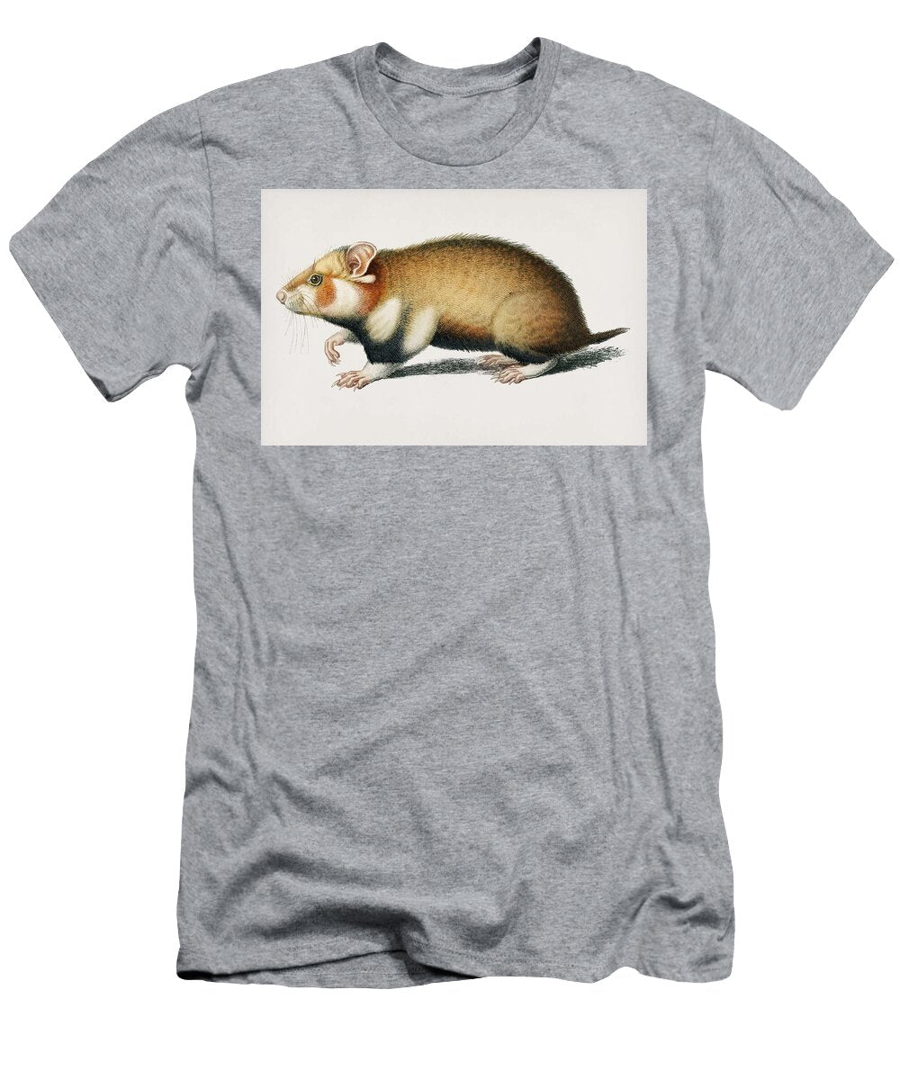 Hamster Cricetus Illustrated By Charles Dessalines D Orbigny 1806 1876 Celestial Images T-Shirt