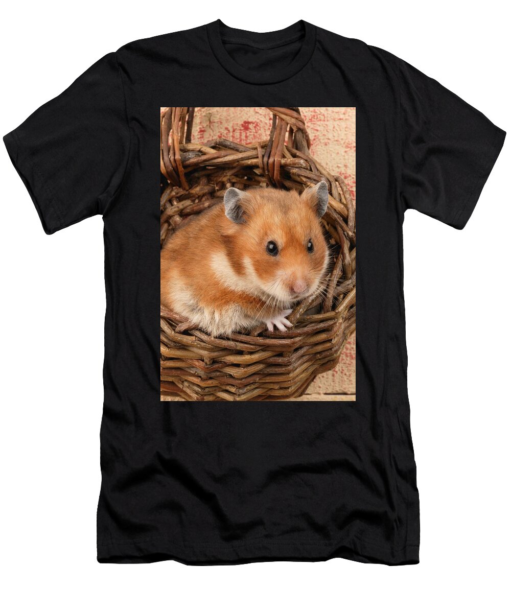 Hamster in Basket Greg Cuddiford T-Shirt