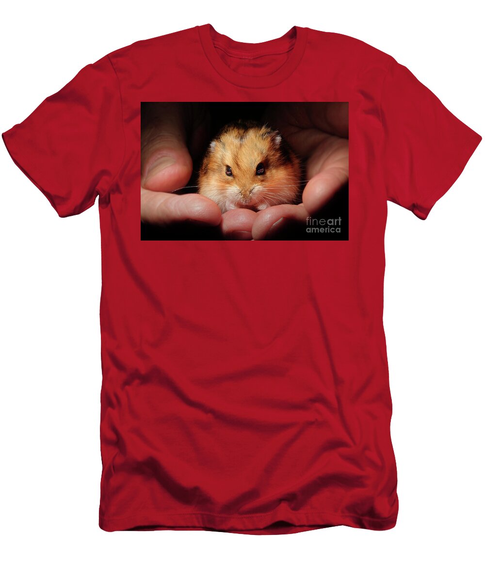 Hamster in Hands Whiskers Eyes Ears Cute Wernher Krutein T-Shirt