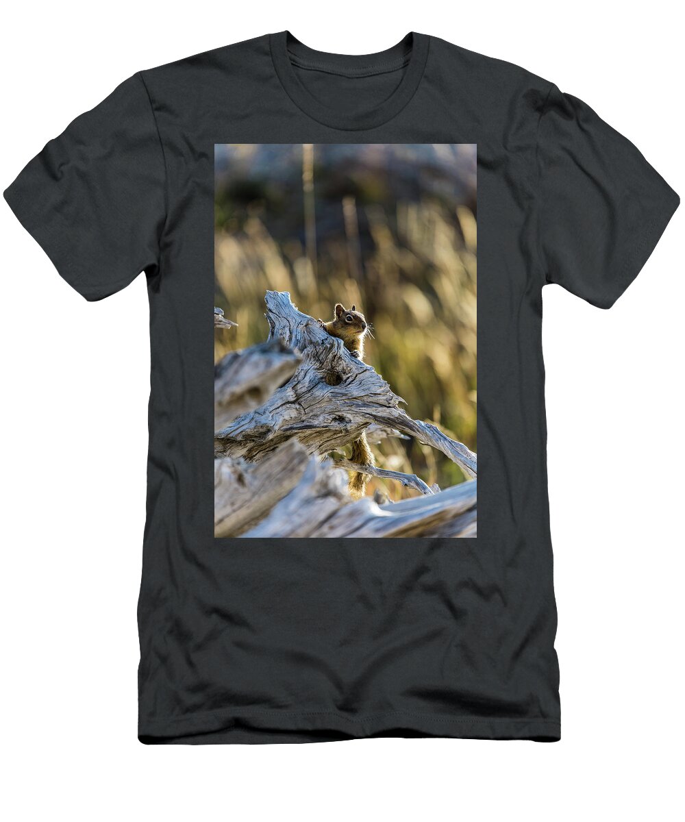 Hamster Jinan Tan T-Shirt