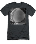 Hamster Oocyte Cumulus Complex David M Phillips T-Shirt