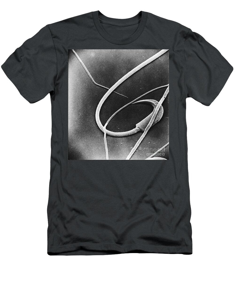 Hamster Sperm Cell Sem David M Phillips T-Shirt