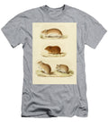 Hamsters Beautiful Nature Prints T-Shirt