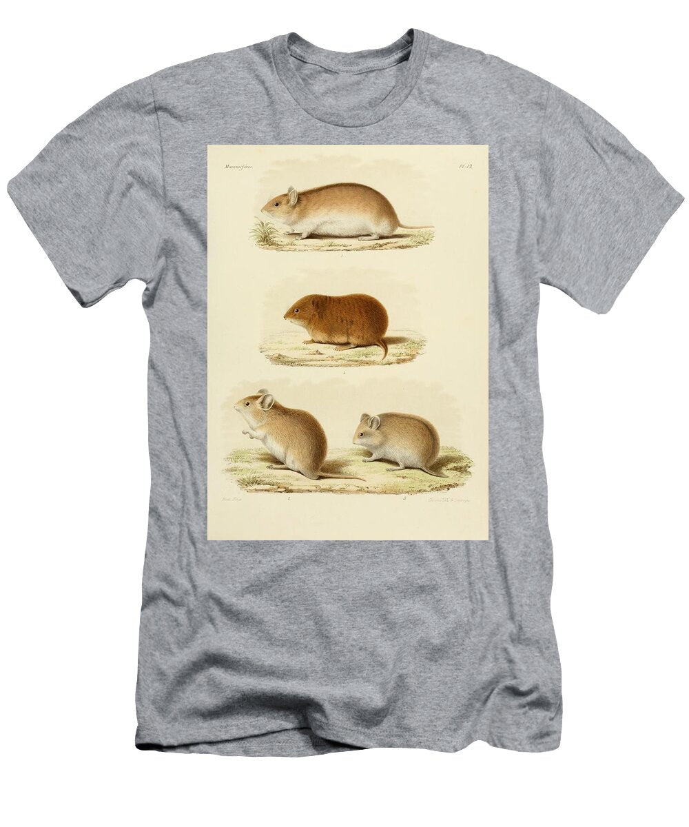 Hamsters Beautiful Nature Prints T-Shirt