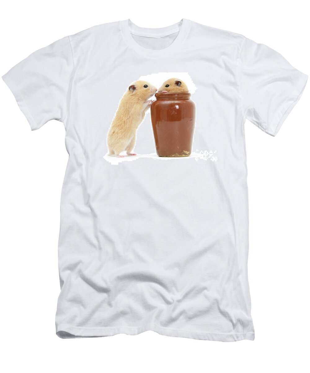 Hamsters China Pot Play Time Warren Photographic T-Shirt