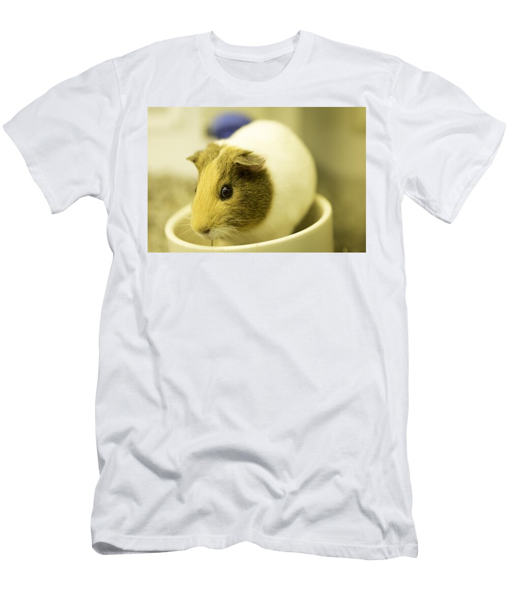 Hamstersin Rafael Gonzalez T-Shirt