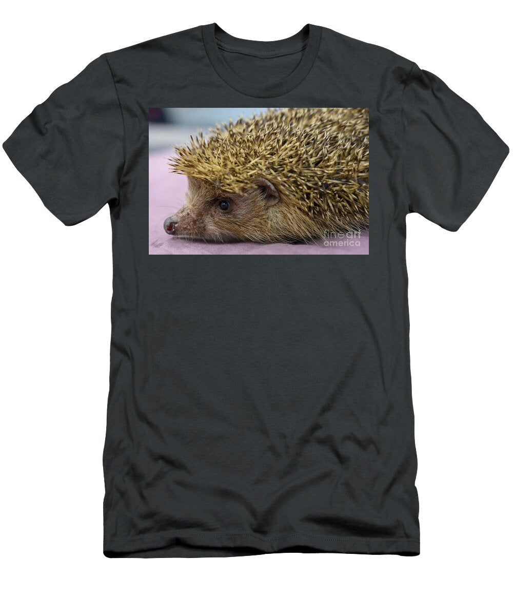 Head and Face of a Southern White Breasted Hedgehog Au4 Ilan Rosen T-Shirt