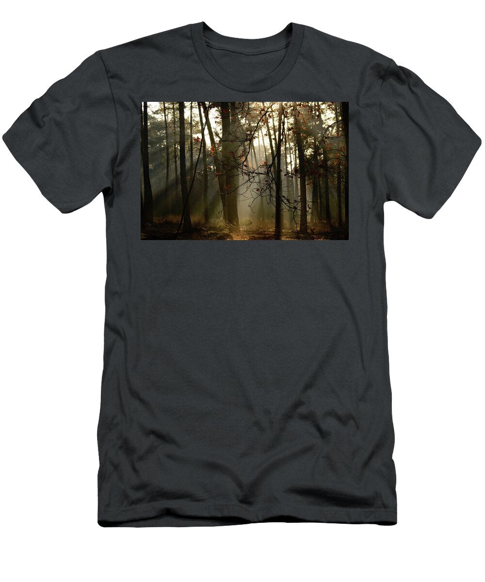 Heavenly Sunlight Coming Through Trees in Forest Johan Ferret T-Shirt