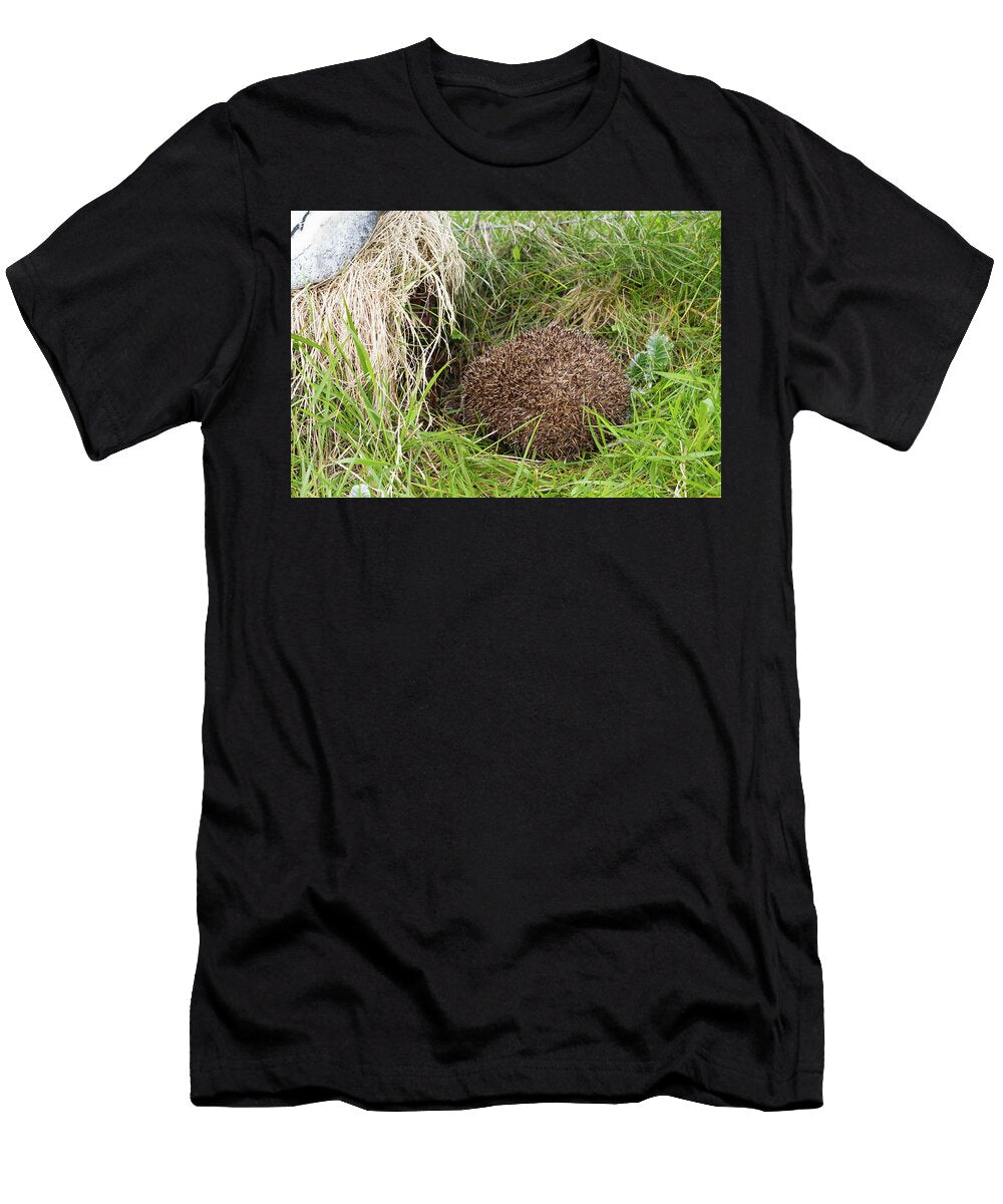 Hedgehog About to Enter Hedgehog Trap Put There By Scottish David Woodfall Natureplcom T-Shirt