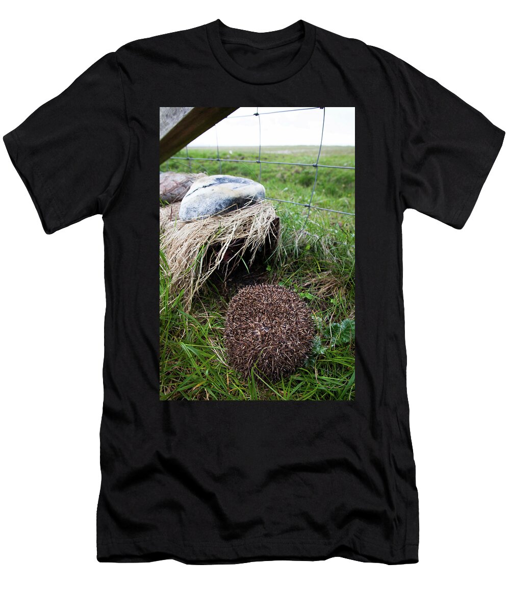Hedgehog Approaching Trap So It Can Be Removed From the David Woodfall Natureplcom T-Shirt