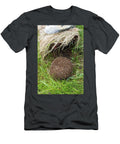 Hedgehog Approaching Trap Used to Remove Introduced David Woodfall Natureplcom T-Shirt