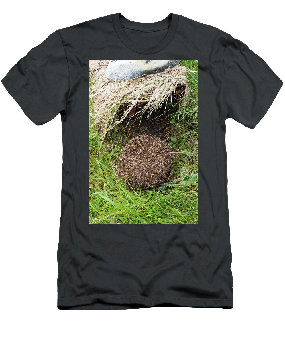 Hedgehog Approaching Trap Used to Remove Introduced David Woodfall Natureplcom T-Shirt