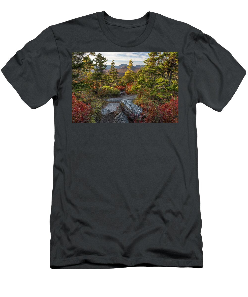 Hedgehog Autumn Trail Chris Whiton T-Shirt