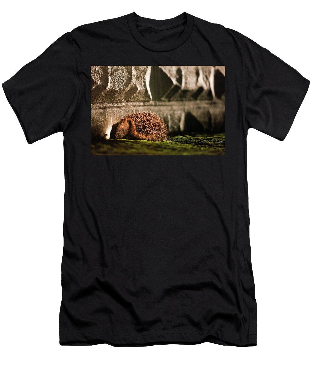 Hedgehog Blocked From Entering an Urban Garden By Wall David Woodfall Natureplcom T-Shirt