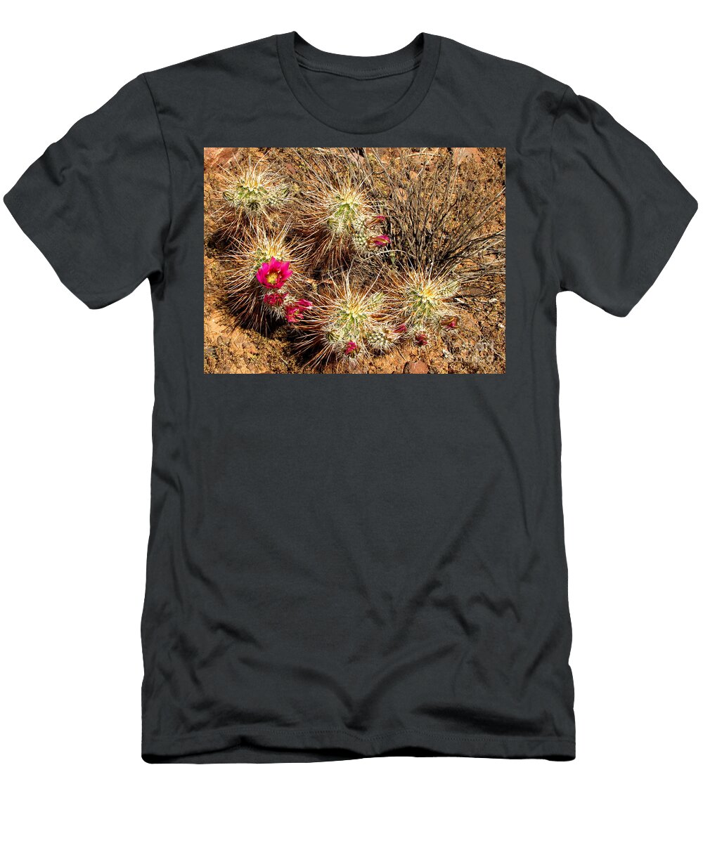 Hedgehog Cacti Marilyn Smith T-Shirt