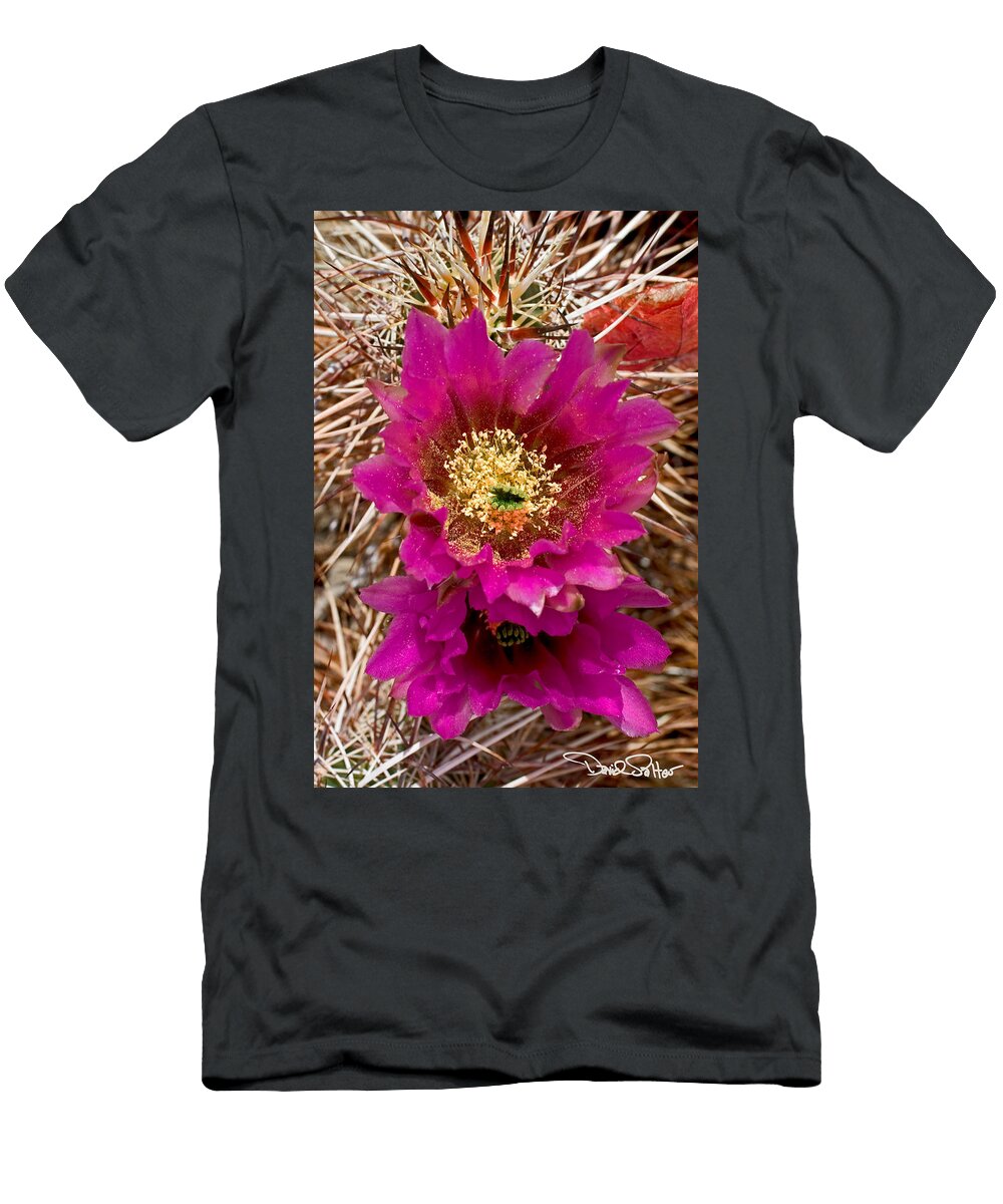 Hedgehog Cactus Flowers David Salter T-Shirt