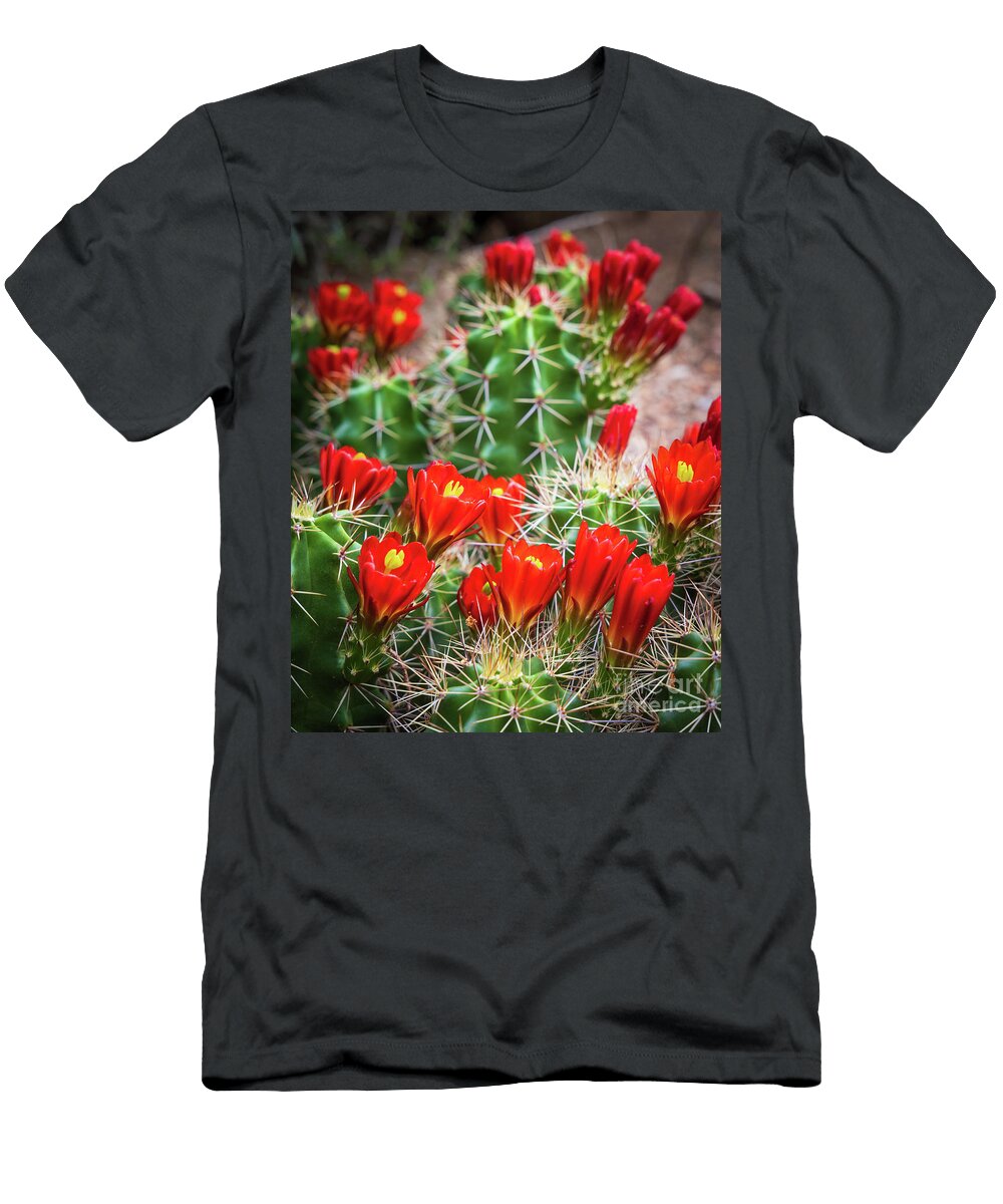 Hedgehog Cactus Flowers Inge Johnsson T-Shirt