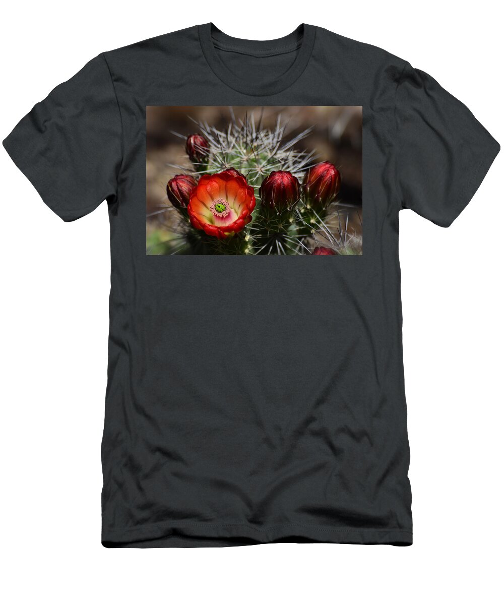 Hedgehog Cactus Flowers Saija Lehtonen T-Shirt