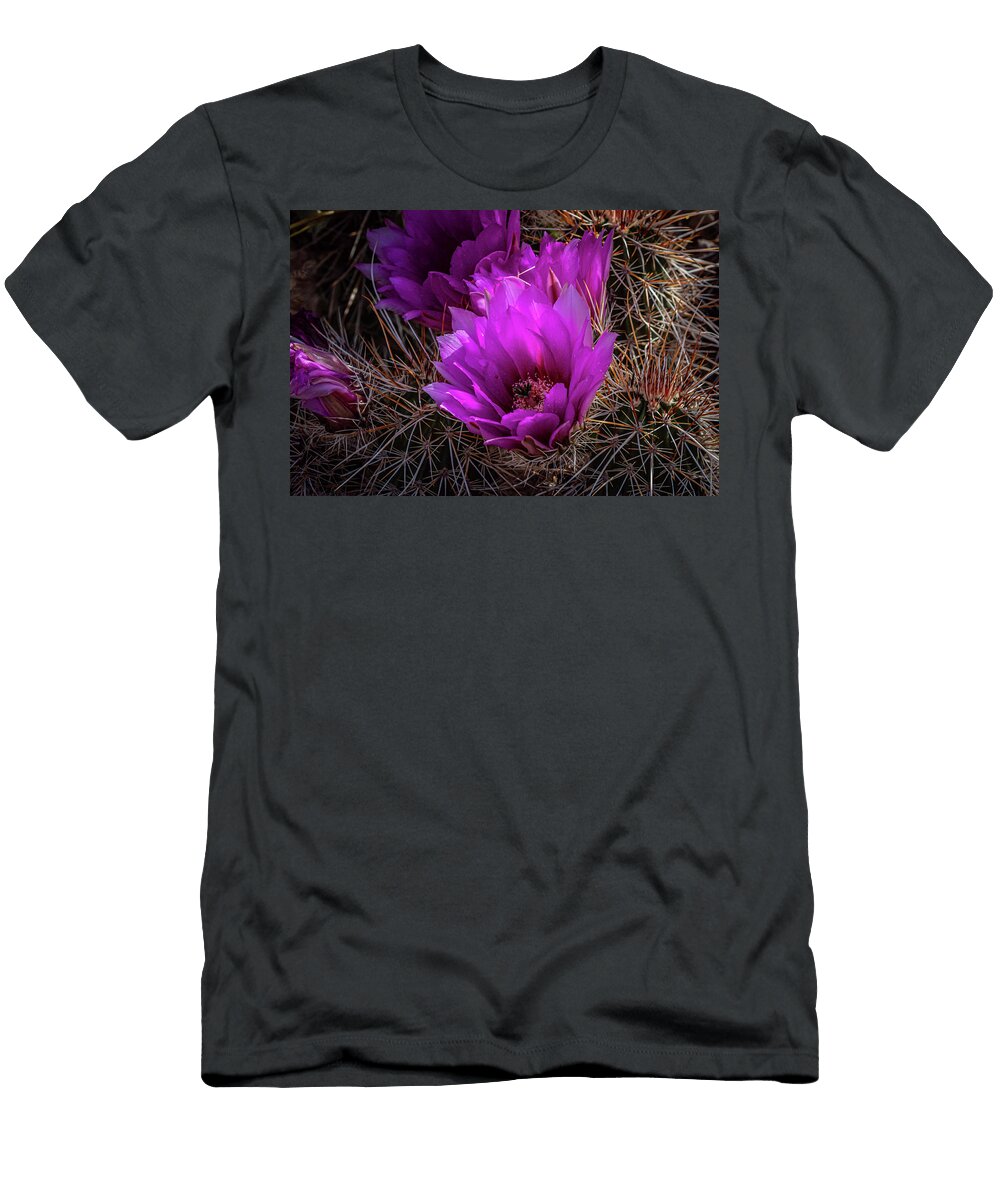 Hedgehog Cactus in Bloom Linda Unger T-Shirt