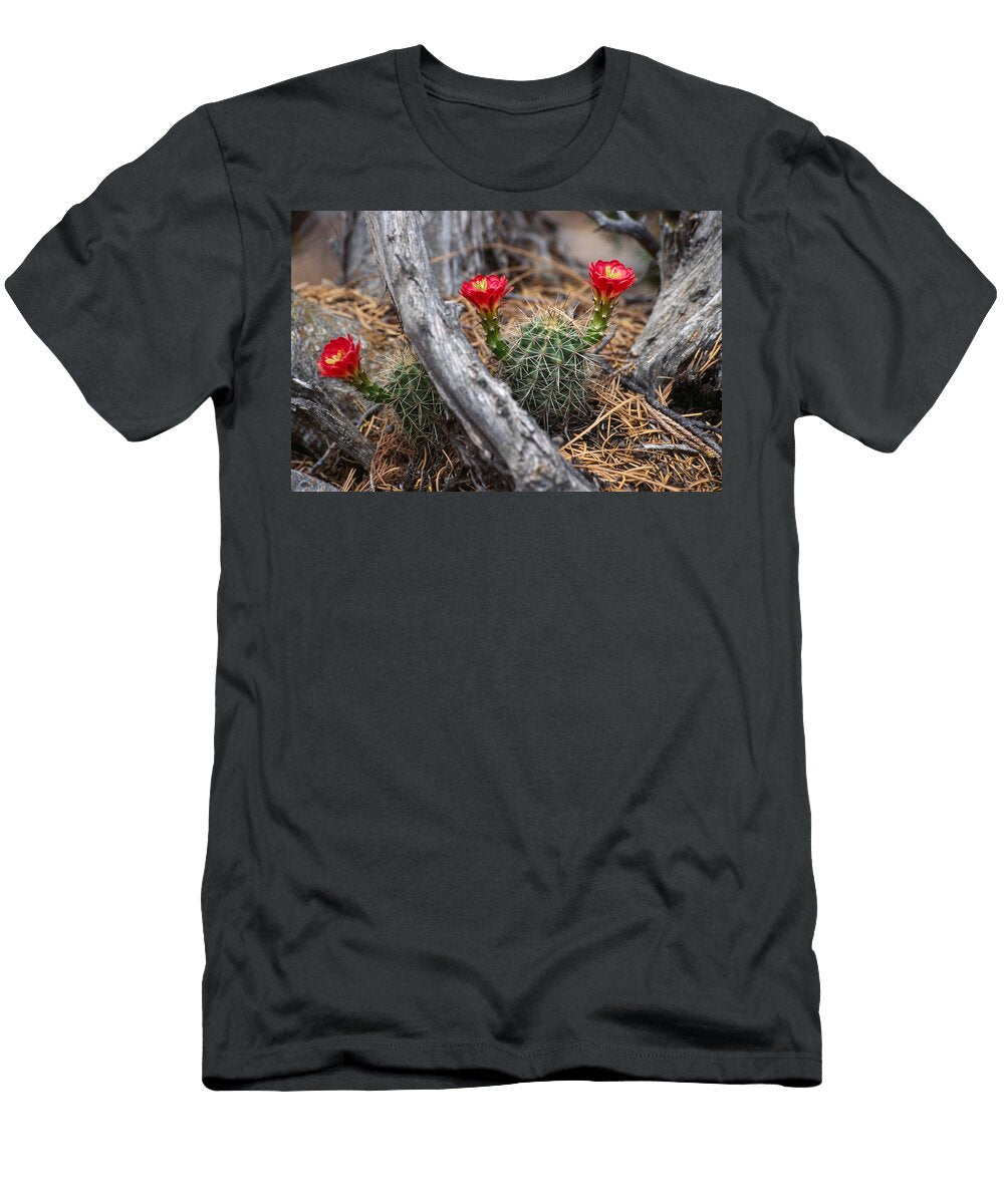 Hedgehog Cactus in Bloom Panoramic Images T-Shirt