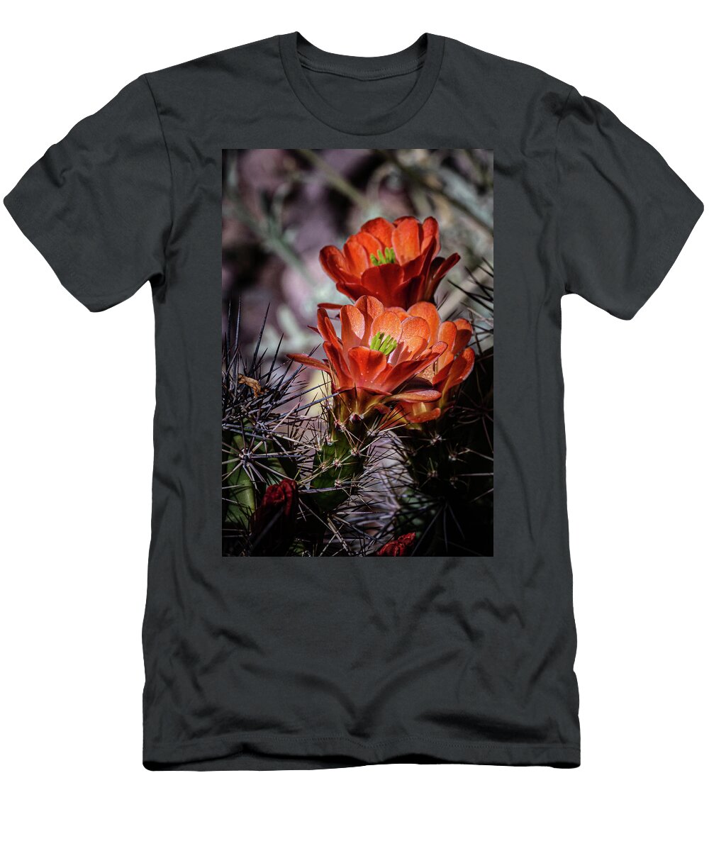Hedgehog Cactus in Scarlet Linda Unger T-Shirt