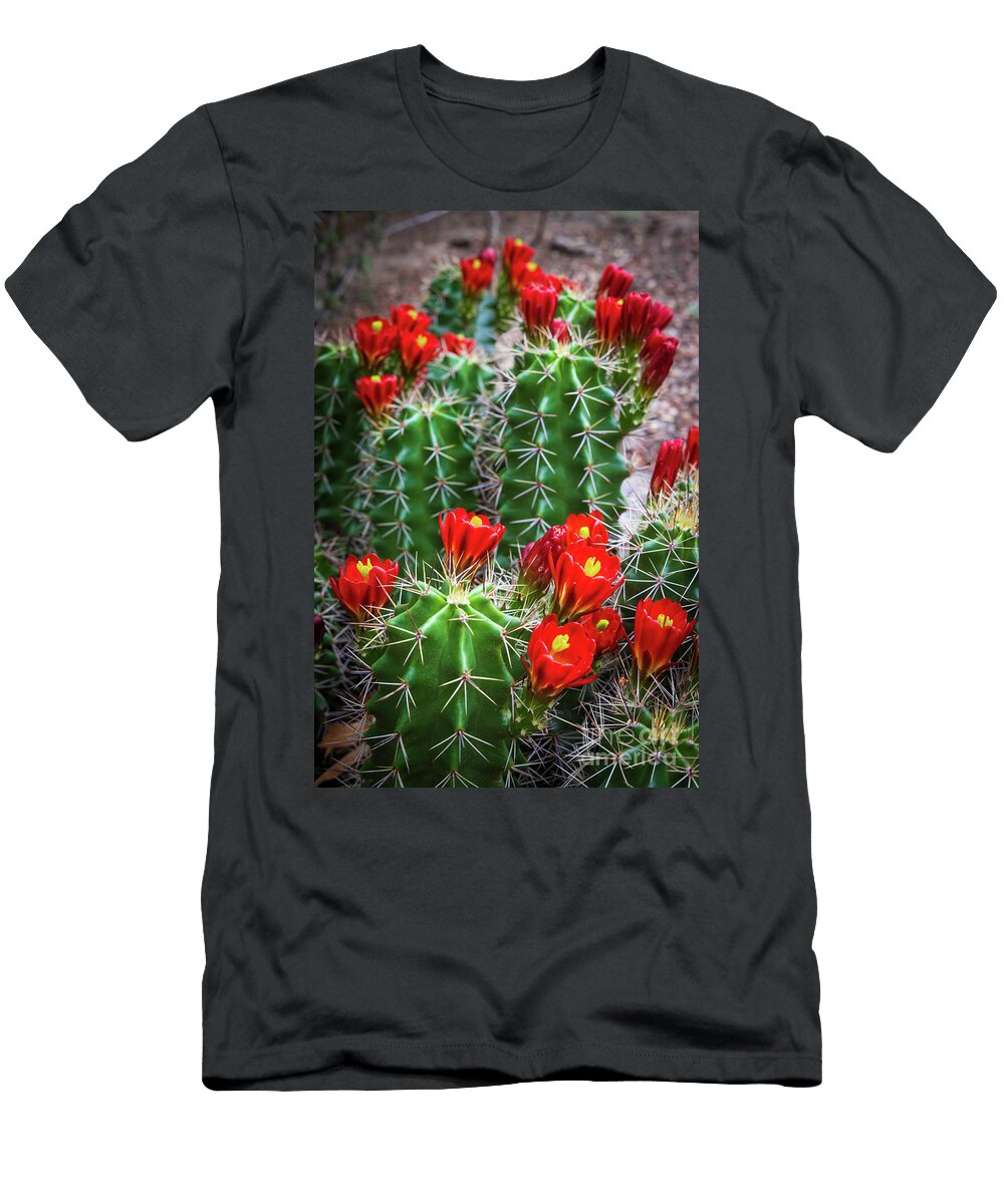 Hedgehog Cactus Inge Johnsson T-Shirt