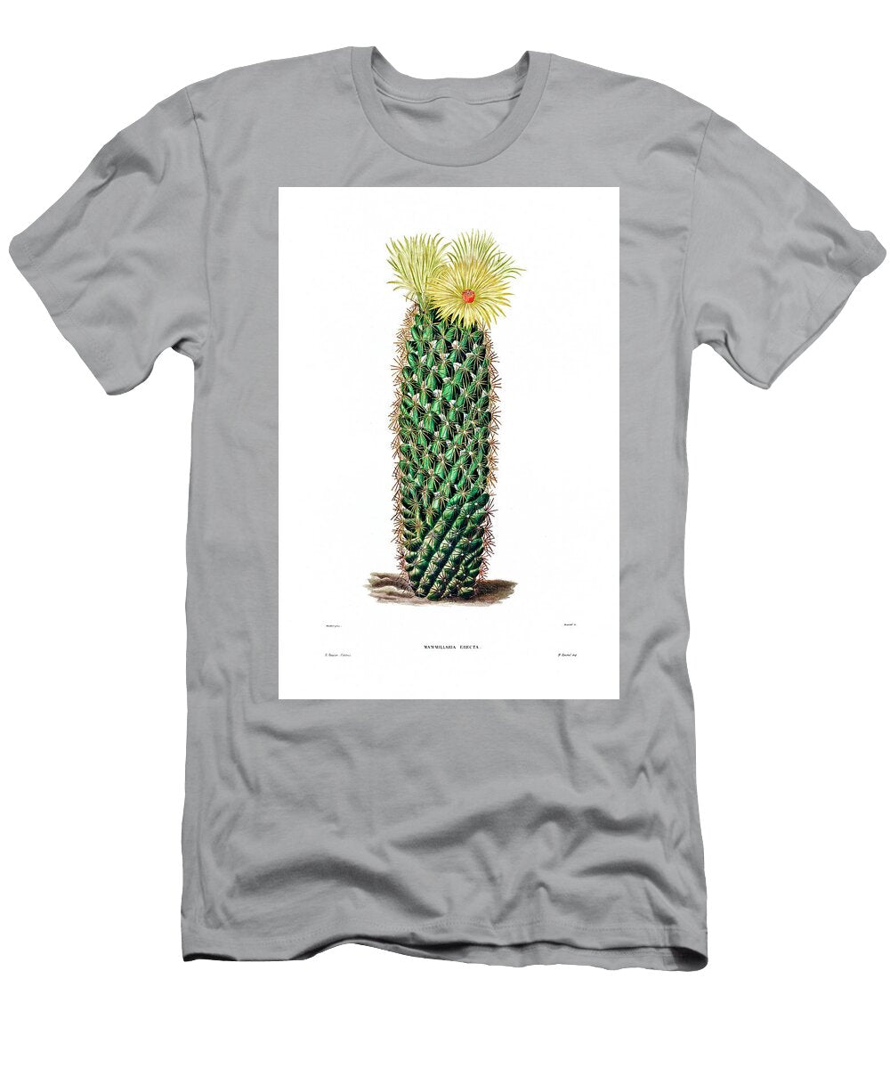 Hedgehog Cactus Mammillaria Erecta From Iconographie Descriptive Des Cactees By Charles Antoine Lema Artistic Rifki T-Shirt